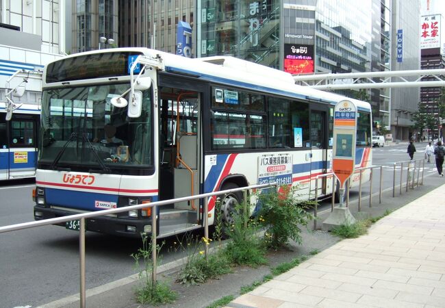 八角部屋創立30周年 横綱還暦土俵入り 記念品