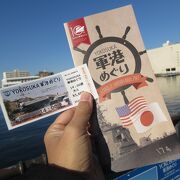 左右に見える 日米の艦船に 大興奮