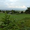 広い公園