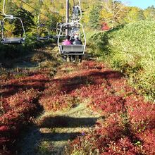 9月は、最も早い紅葉を楽しむことができます