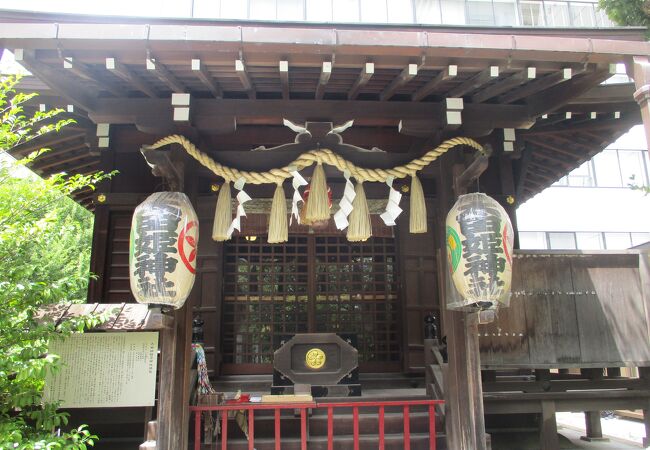 【在庫SALE！】日本神道と天寿学 太田龍 在庫SALE！】日本神道と天寿学 太田龍