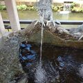 石倉町の延命地蔵の水