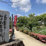 知立神社に隣接する知立公園の花しょうぶまつり