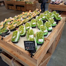 シャインマスカットが出迎え