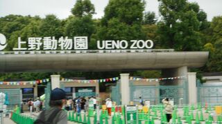 パンダ見物は未だ、無理