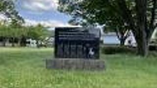 芝生が広がる自然豊かな公園