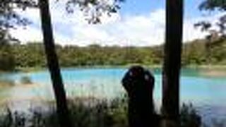 五色沼のなかでは2番目に大きな池です。