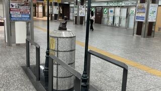 城ヶ島に行く際に立ち寄りました！