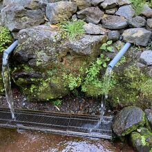 湧水の水飲み場です