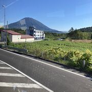 美しい姿の山はまさにこの地域のシンボルですね。