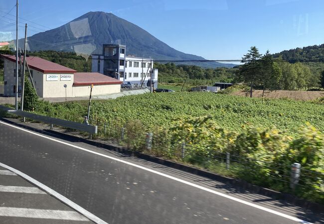 美しい姿の山はまさにこの地域のシンボルですね。