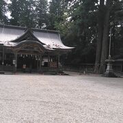 壮大な森の中の神社