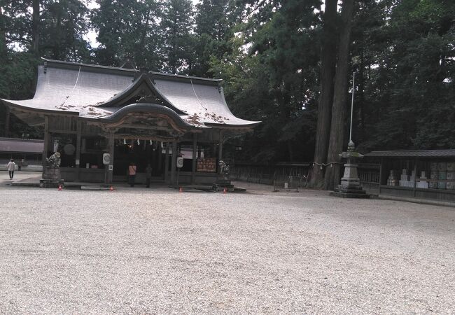 壮大な森の中の神社