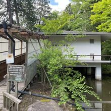 池に浮く美術館