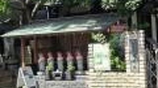 子どもたちの元気な声