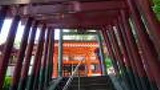 奥に延々と赤い鳥居の石段が山の方へ