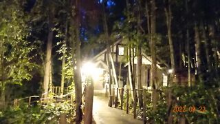 森の中の一本道の細い道は、周りは真っ暗で、誰ともすれ違いもしなかったのでちょっと怖い感じがしました。