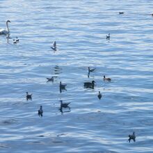 チューリッヒ湖