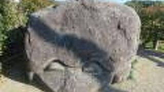 2020年12月亀石♪