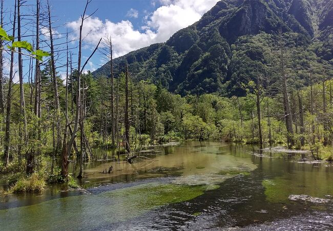 素晴らしい景色を満喫しながらハイキング
