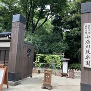 ビル群の真ん中にある公園です。