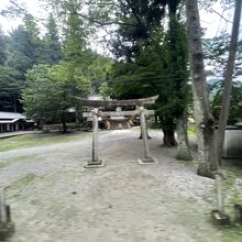 列車が八幡神社の中を走り抜けます。