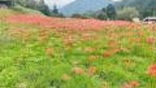 富士見台高原(長野県阿智村)