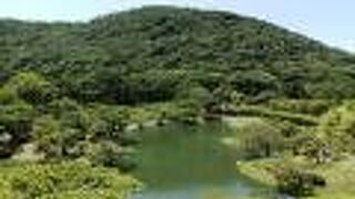 実際に登ってみた