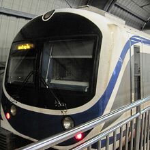 マッカサン駅停車中のARL