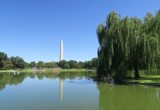 緑の池に映るワシントンモニュメント