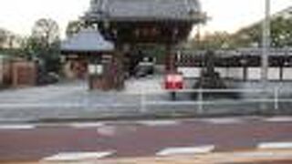 夏目坂で一際目を惹く寺院