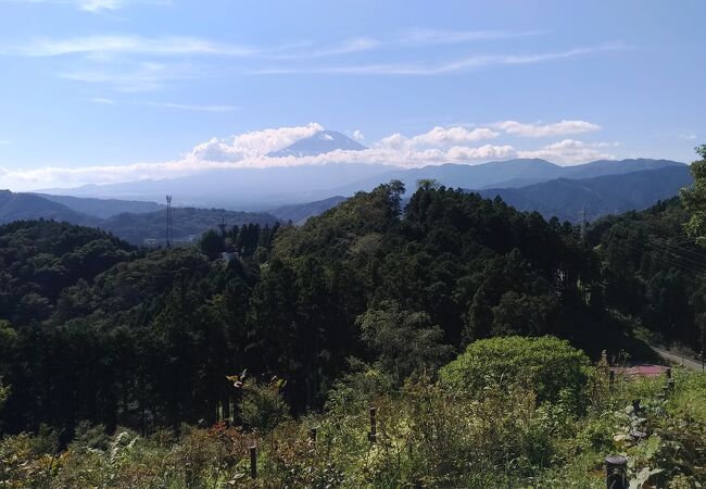 県立山北つぶらの公園･･･富士山一望