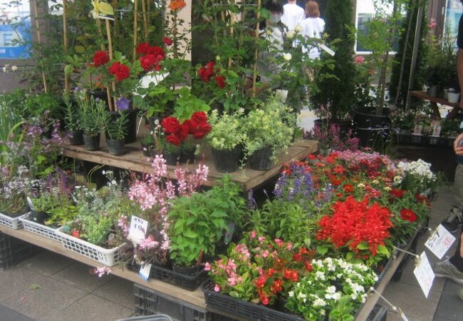花フェスタ旭川 クチコミ アクセス 営業時間 旭川 フォートラベル