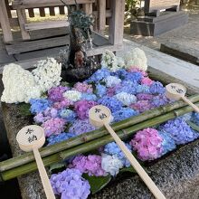 紫陽花の花手水も