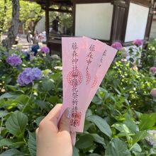 藤森神社では6/4～紫陽花苑、開園されていました