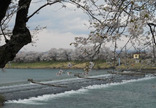 「白石川」にある堰