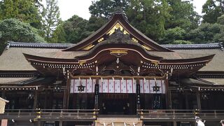 なでうさぎがお隠れに～！