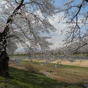 桜の季節がおすすめ