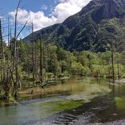 神秘的な風景が広がる 