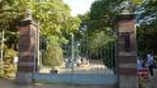 のんびりできます