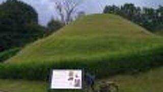 一番おすすめな観光方法