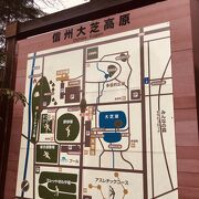 広い敷地を歩く