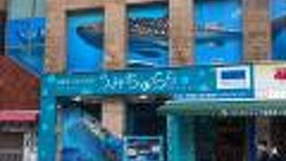美ら海水族館の那覇ショップ！