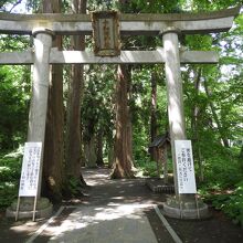 参道入口の鳥居