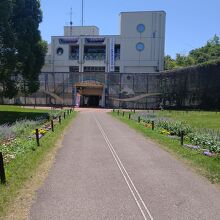 公園の様子