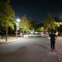 長居公園の周回の道でランナーが走ってます