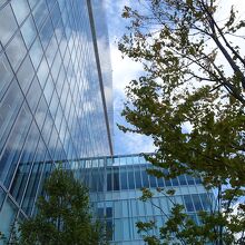 １６階にも素敵な庭園があります。