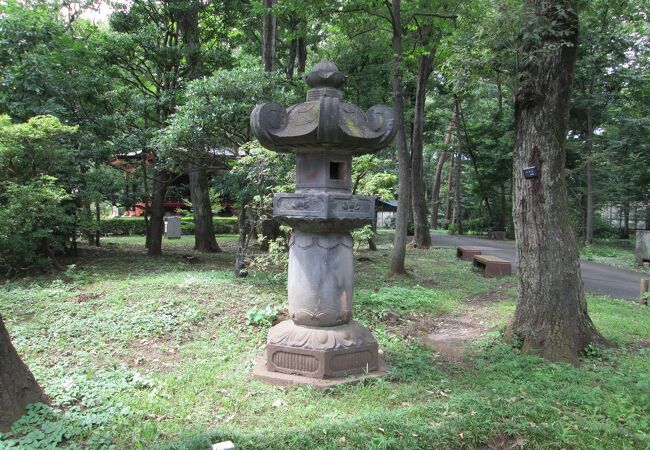 小金井散策(1)で寛永寺灯篭を見ました