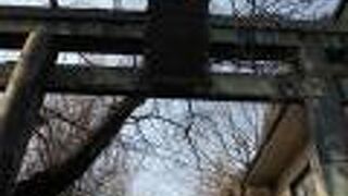 久々に行ってきました