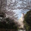 都会の真ん中で桜を楽しめ、贅沢気分になれるホテル